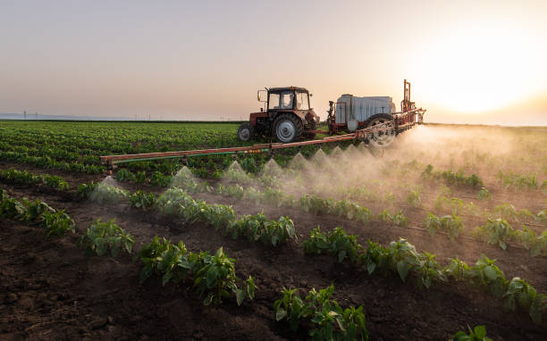 Pest Control Cost in Verona Walk, FL