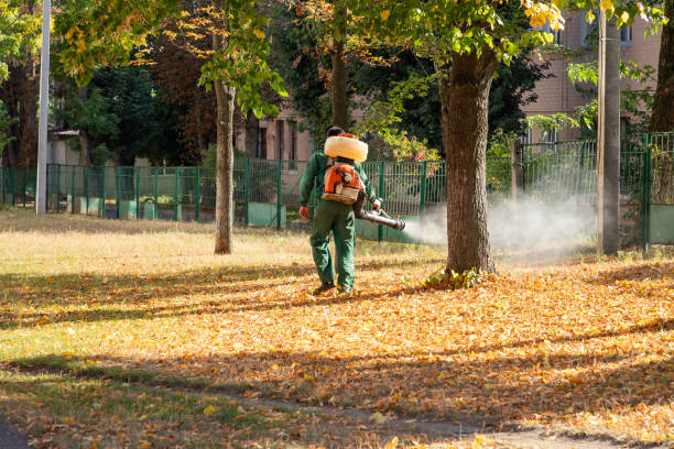 Best Cockroach Control Services  in Verona Walk, FL