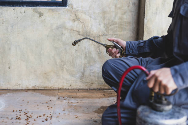 Best Termite Control Services  in Verona Walk, FL